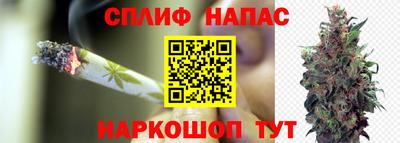 ПСИЛОЦИБИНОВЫЕ ГРИБЫ Будённовск