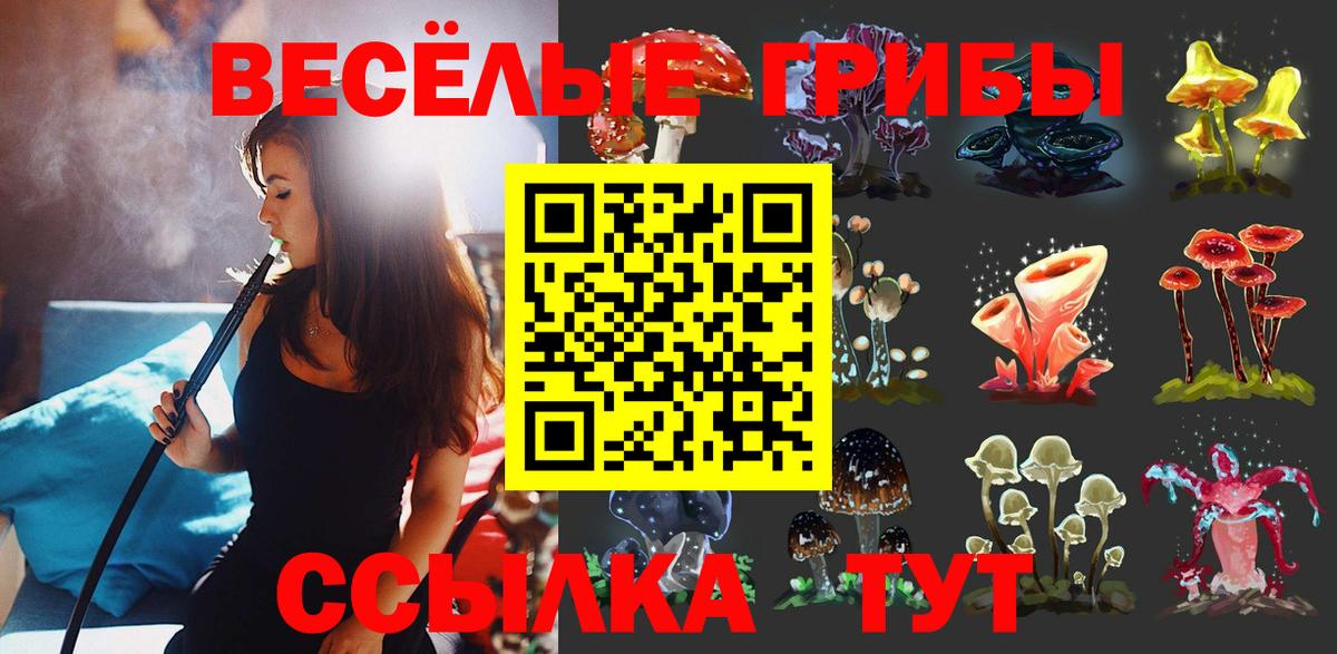 Сибай  Галлюциногенные грибы Psilocybe  Вход с VPN 