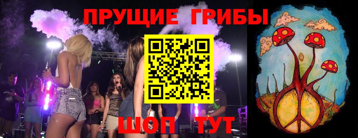 Псилоцибиновые грибы мицелий Сибай
